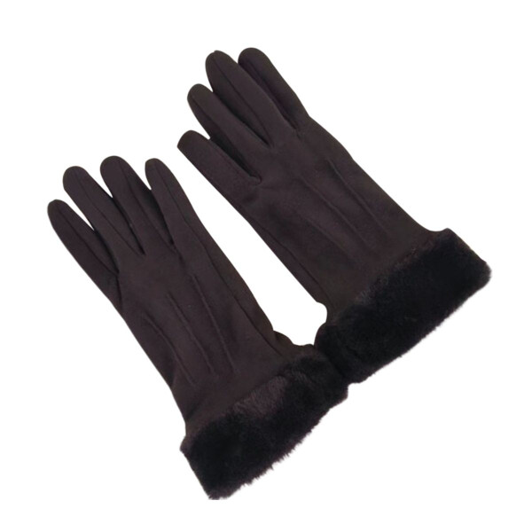 Clarissa Suede Touchscreen Gloves product image