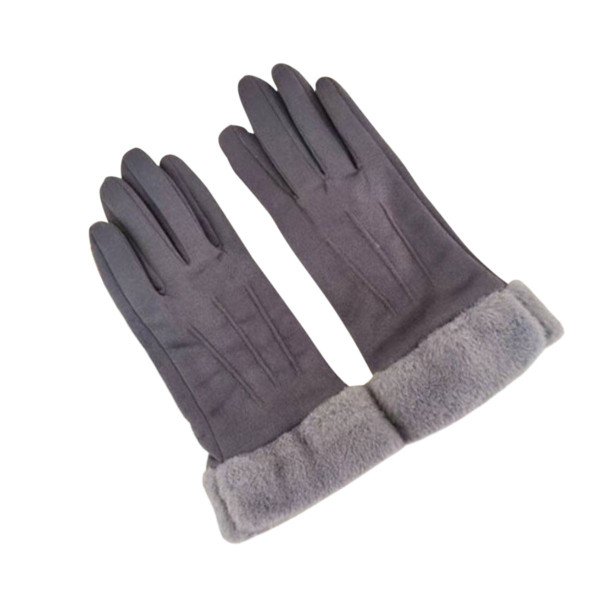 Clarissa Suede Touchscreen Gloves product image