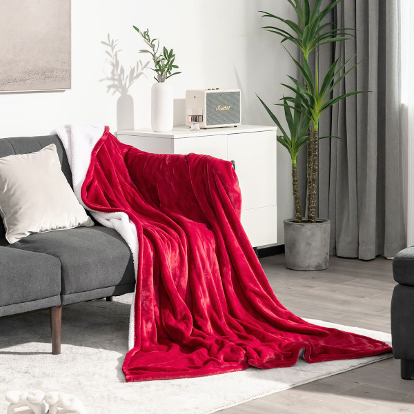 Heated Electric Throw Blanket with 5 Heating Levels  product image