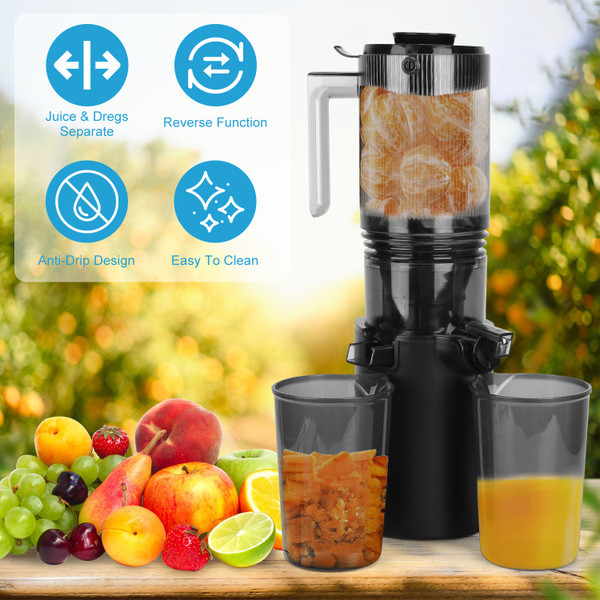 Wide Feed Chute Electric Juicer Extractor Machine product image