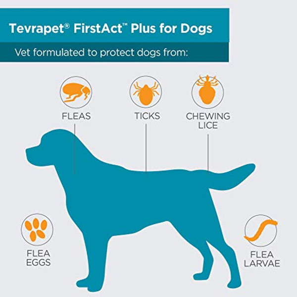 Tevra Pet Firstact Plus Flea And Tick Treatment product image