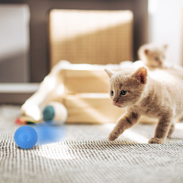Motion-Activated Interactive Cat Toy product image
