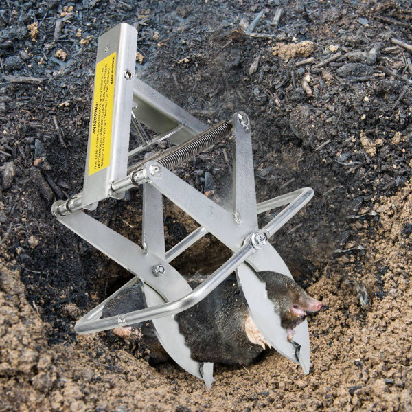 iMounTEK Mole Eliminator Trap (2-Pack) product image
