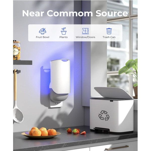 Indoor Plug-in Bug Trap + 3 Glue Cards product image