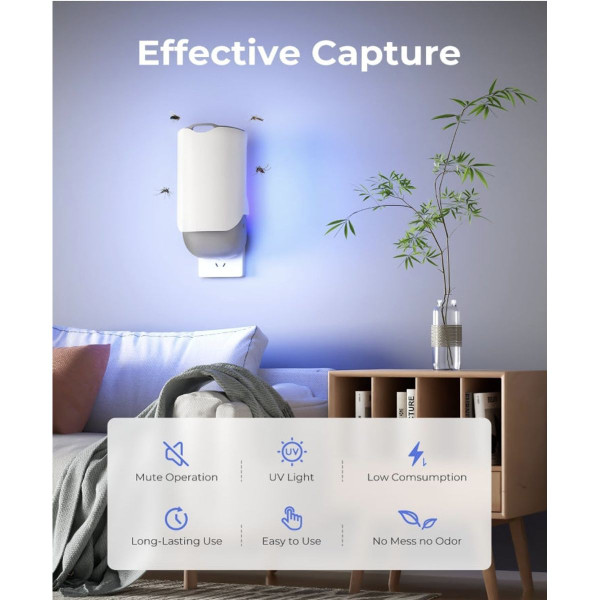 Indoor Plug-in Bug Trap + 3 Glue Cards product image