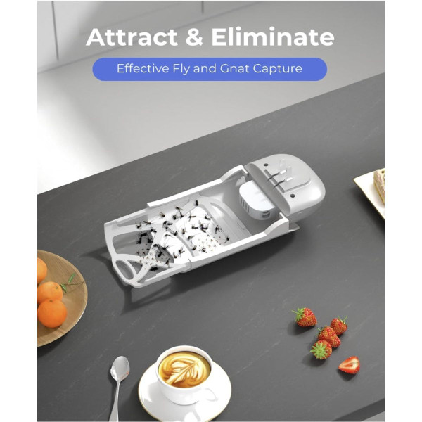 Indoor Plug-in Bug Trap + 3 Glue Cards product image
