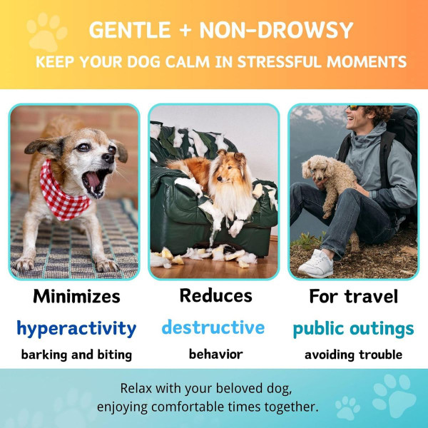 Calming Hemp Chews for Dog product image