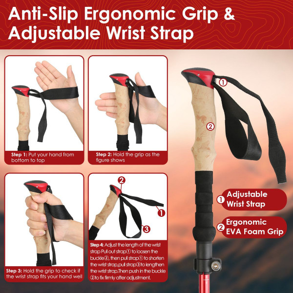 LakeForest Collapsible Hiking Poles (1 Pair) product image