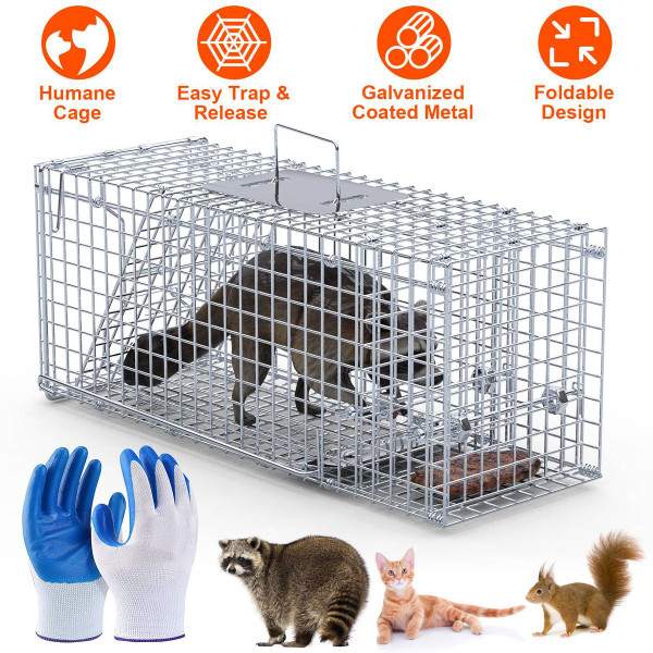 25.59" Humane Animal Trap Cage product image
