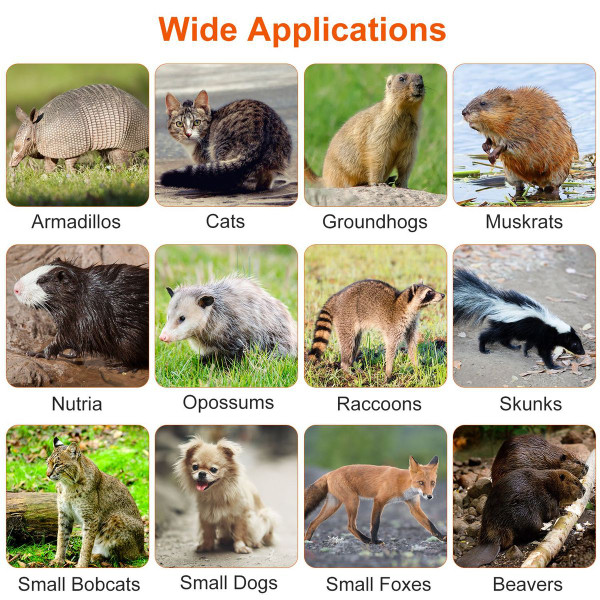 25.59" Humane Animal Trap Cage product image