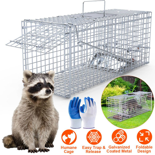 25.59" Humane Animal Trap Cage product image