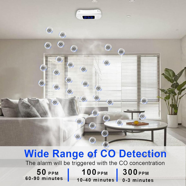 Carbon Monoxide Detector product image