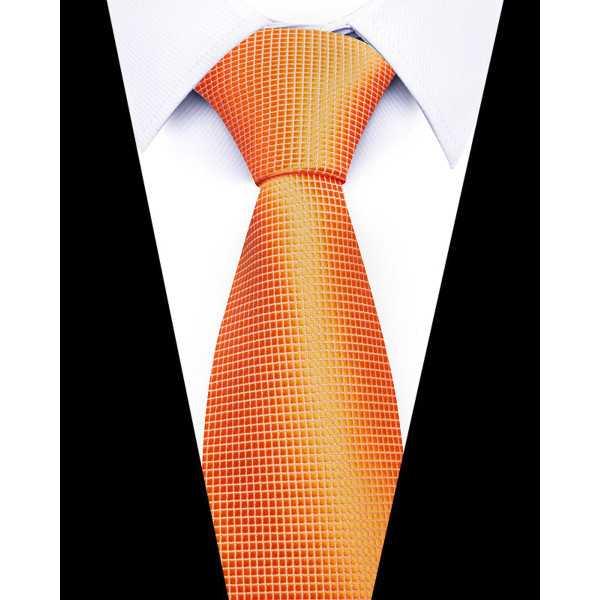 Formal Classic Patterned Tie product image