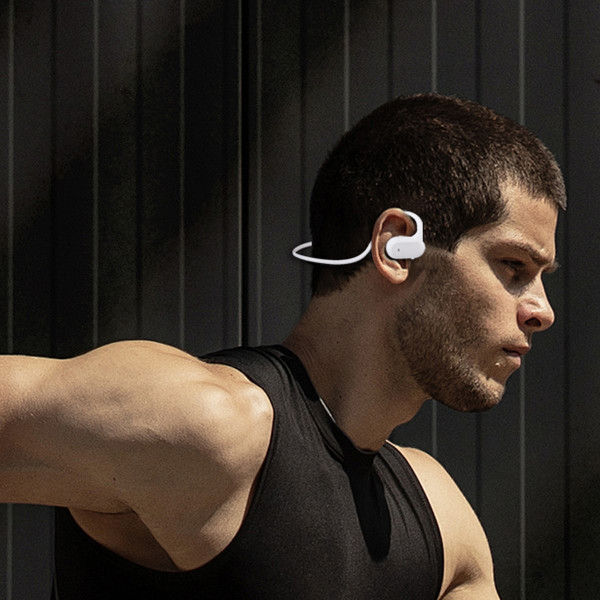 Wireless Earbuds with Interchangeable Neckband and Earhook  product image
