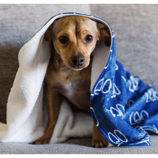 Small Personalized Pet Blanket product image