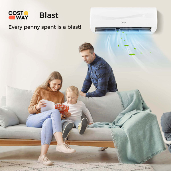 9000 BTU Mini Split Air Conditioner and Heater product image