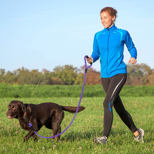 4-Foot Padded Dog Leash product image