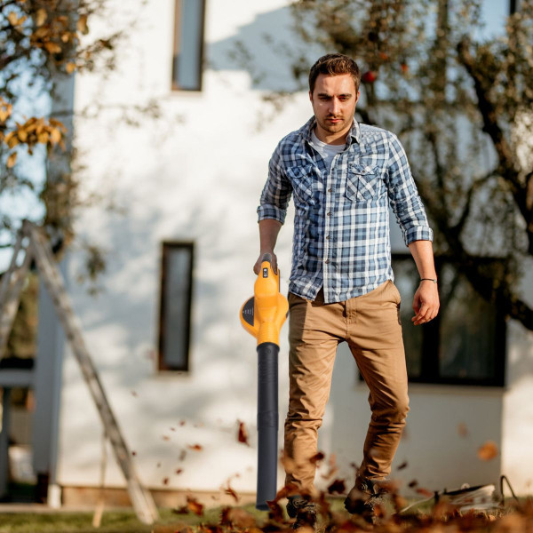 Dual Speed Cordless Leaf Blower product image