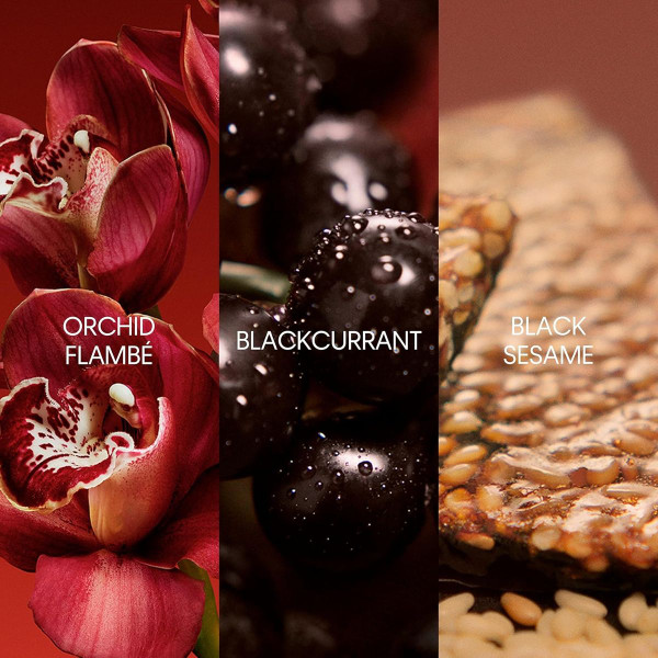 Calvin Klein My Euphoria Eau de Parfum Spray (2-Pack) product image