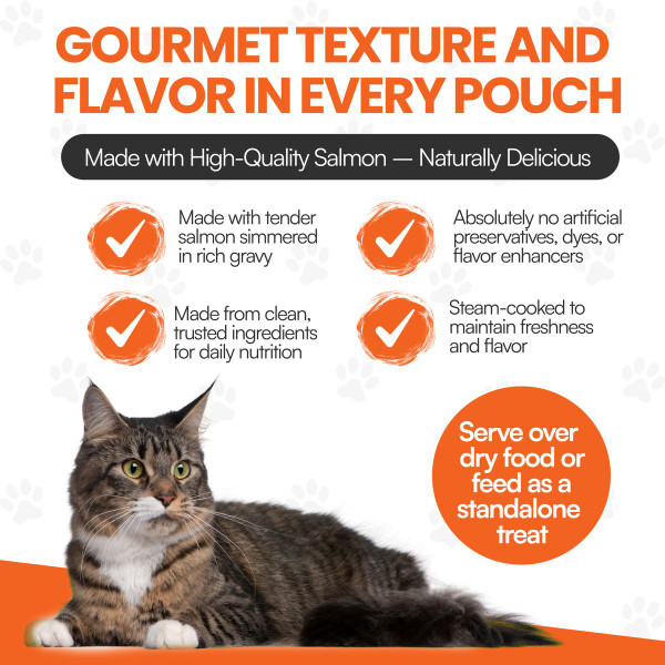 Scoochie Pet Salmon, Chicken Stew Wet Cat Food (4, 8, or 16-Pack) product image