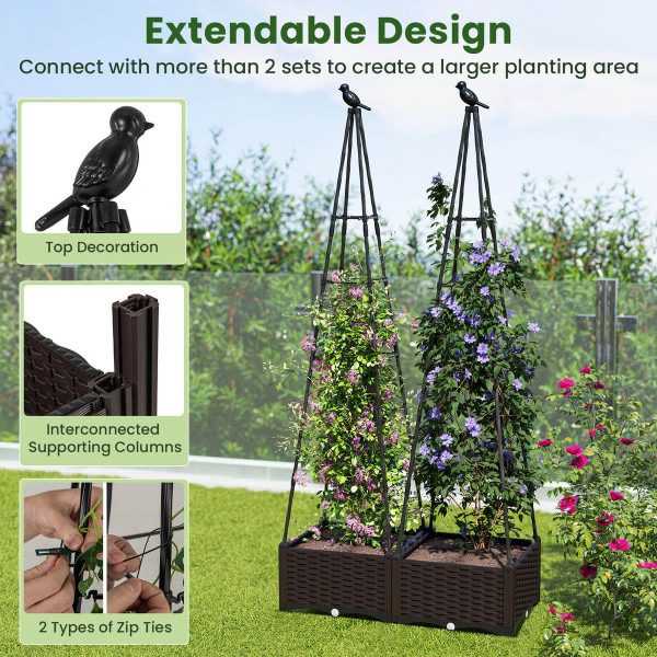 Raised Garden Bed with Plant Box and Obelisk Trellis product image
