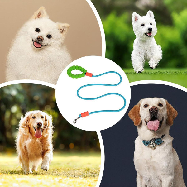 Traction Leash for Dogs product image