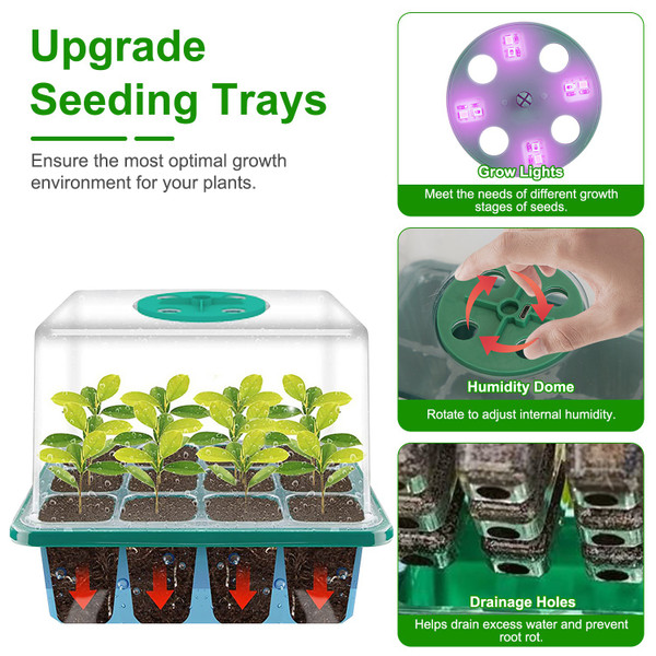 Seed Starter Tray with Grow Light (5-Pack) product image