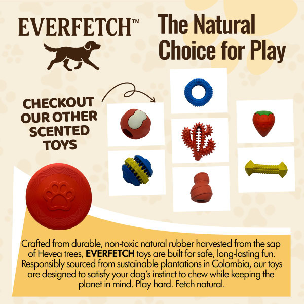 Everfetch Natural Rubber Scented Classic Dog Toys product image