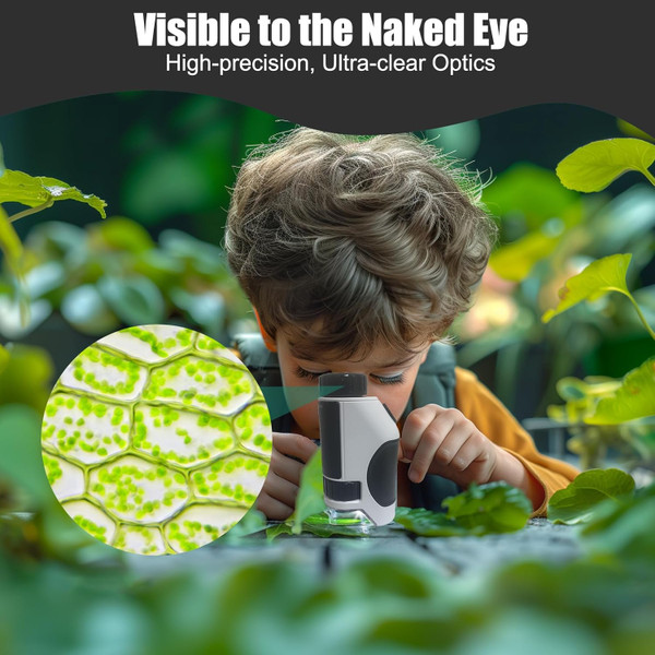 Kids' 300x Zoom Pocket Microscope product image