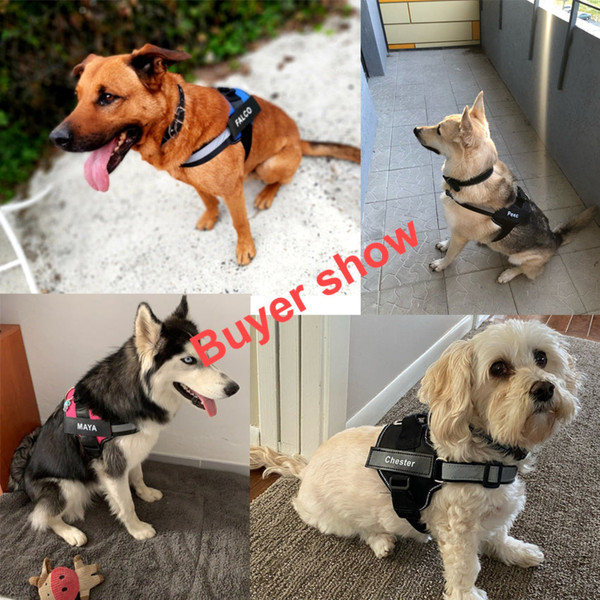 Personalized Reflective Pet Harness product image