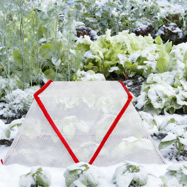 Garden Row Accelerator Plant Cover (4-Pack) product image