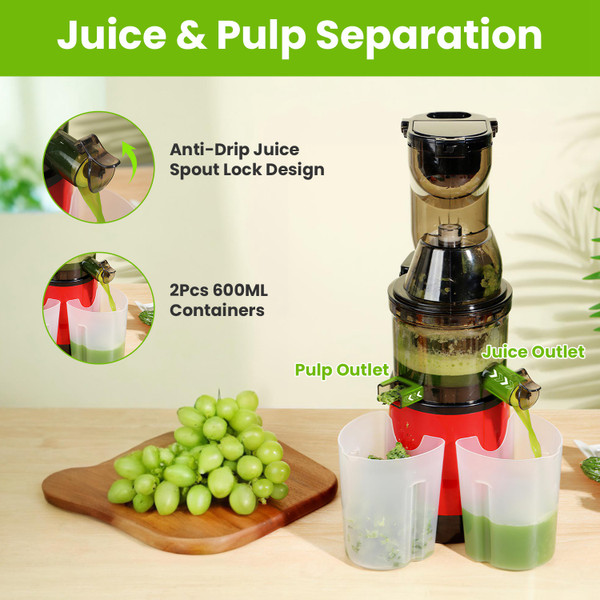 Electric Cold Press Juicer Machine product image