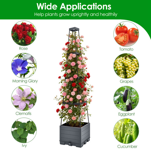 Planter Box with Trellis (2-Pack) product image