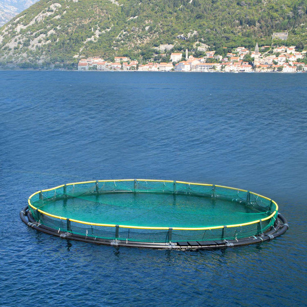 33-foot Garden Netting product image