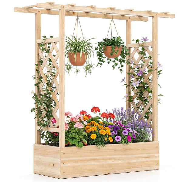 Wooden Raised Garden Bed with Trellis (1- or 2-Pack) product image