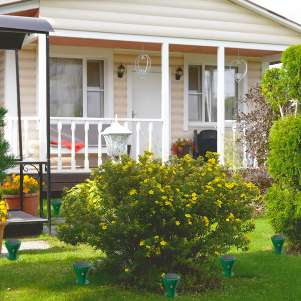 Solar Powered Mole Repellent (8-Pack) product image