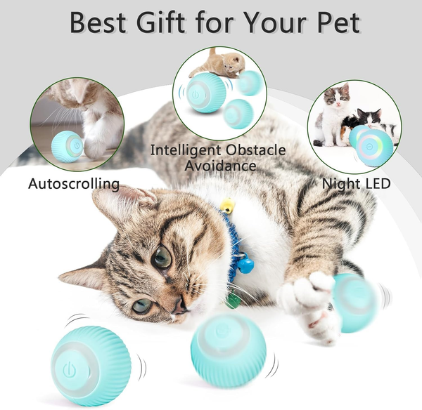 Rechargeable Rolling Ball for Indoor Cats product image