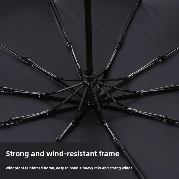 Brella-Lite Umbrella and Light Combo product image