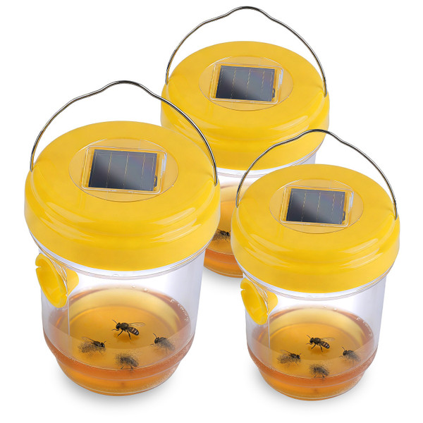 Solar Wasp Trap (3-Pack) product image