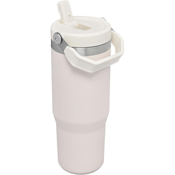 STANLEY IceFlow Flip Straw Tumbler (2-Pack) product image