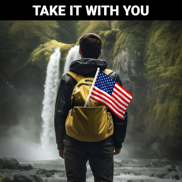 USA Car Flags (2-Pack) product image