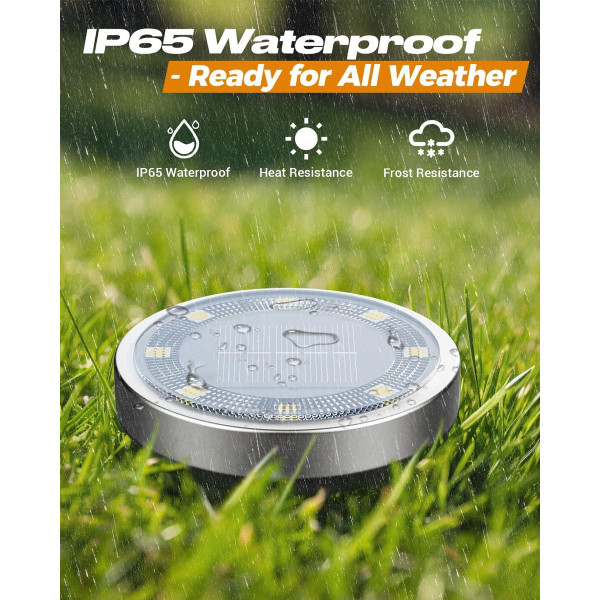 Solar Ground Pathway Light (2- to 12-Pack) product image