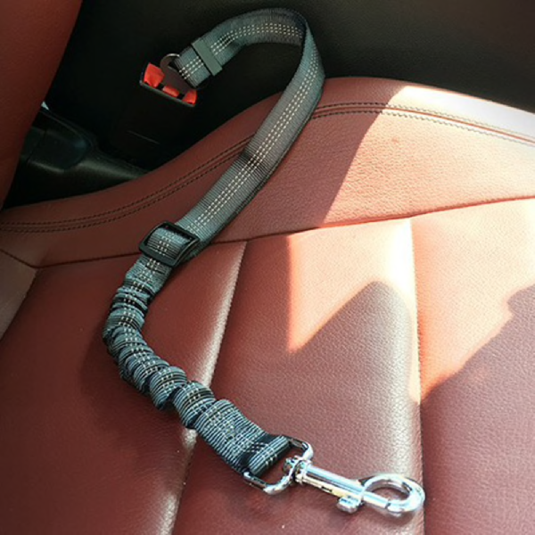 Car Elastic Safety Leash product image