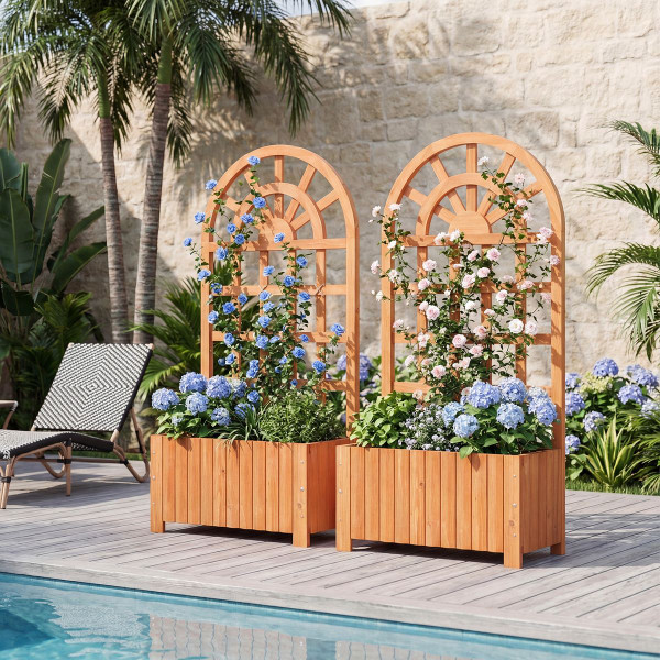 Wooden Raised Garden Bed with Trellis (1 or 2-Pack) product image