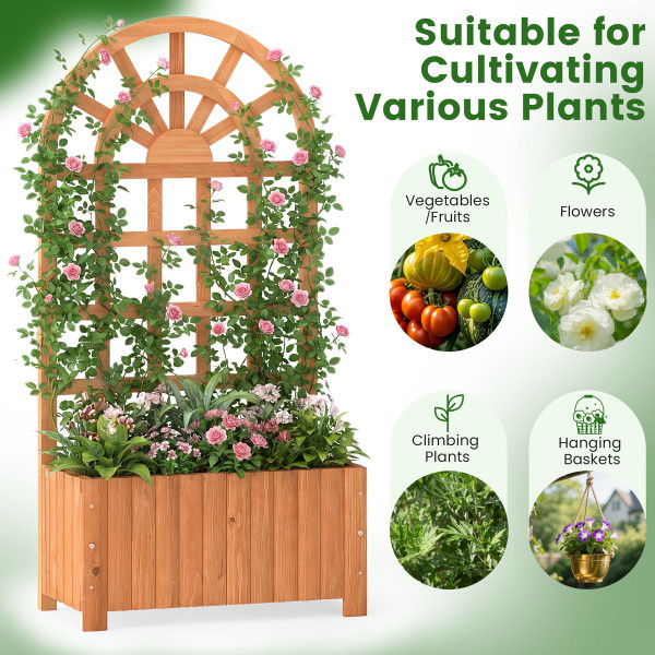 Wooden Raised Garden Bed with Trellis (1 or 2-Pack) product image
