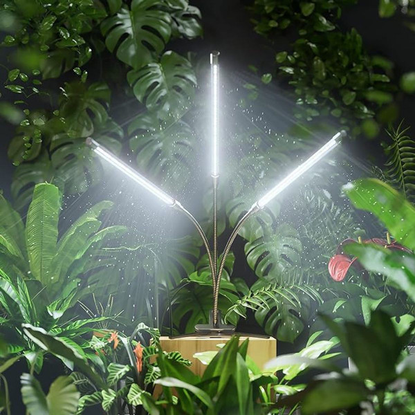 Grow Lights for Indoor Plants product image
