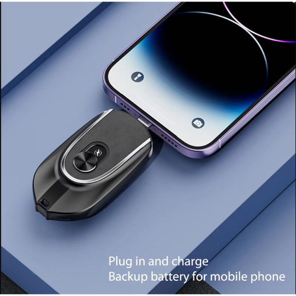 2-in-1 Portable Power Station Charger  product image