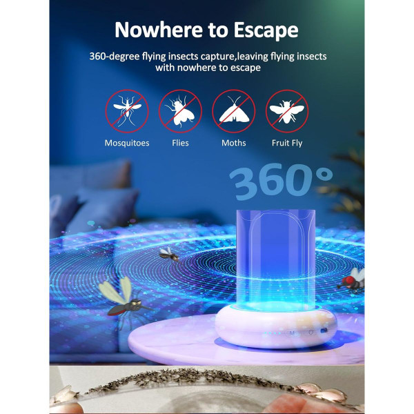 Indoor Fruit Fly Trap product image