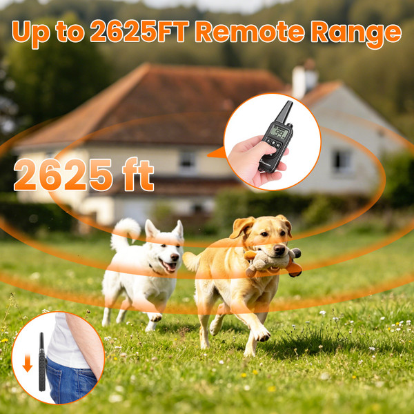 Dog Training Collar with Remote (1 or 2 Collars) product image