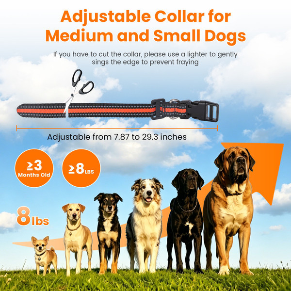 2-in-1 Wireless Dog Fence and Training System (1 or 2 Collars) product image